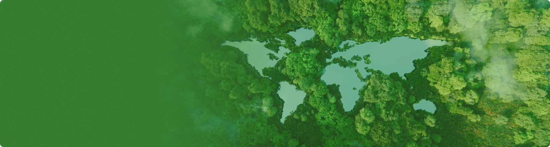 海外項(xiàng)目