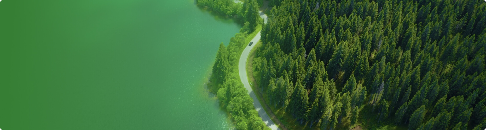 國(guó)內(nèi)項(xiàng)目