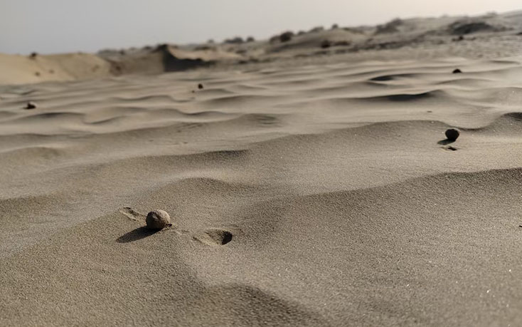 創(chuàng)新治沙新途徑