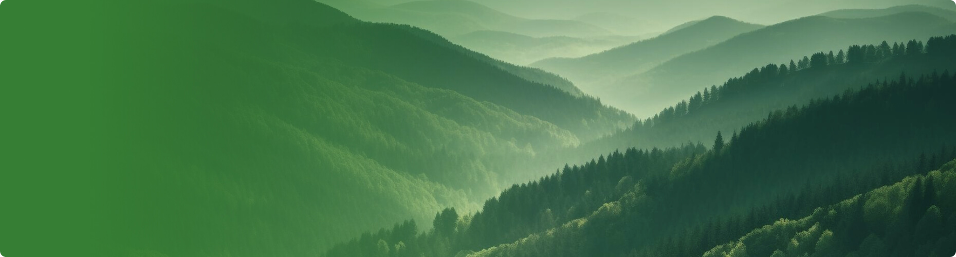 技術(shù)應(yīng)用