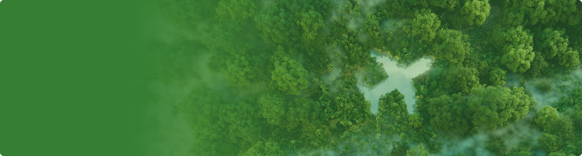 生態(tài)恢復(fù)