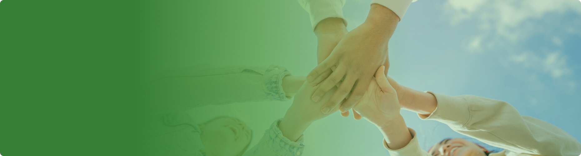 合作共建美好生態(tài)