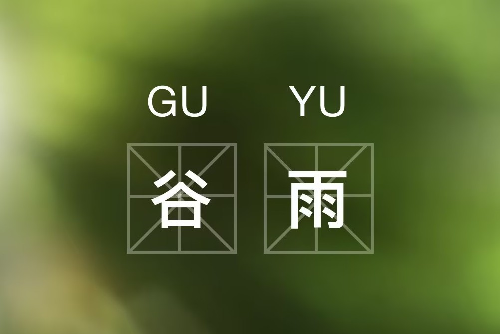 谷雨時(shí)節(jié)，樹種球迎來(lái)新生機(jī)