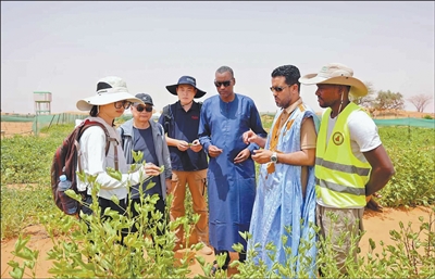 為非洲綠色發(fā)展提供新示范（新時(shí)代中非合作） ——探訪毛里塔尼亞中非綠色技術(shù)公園