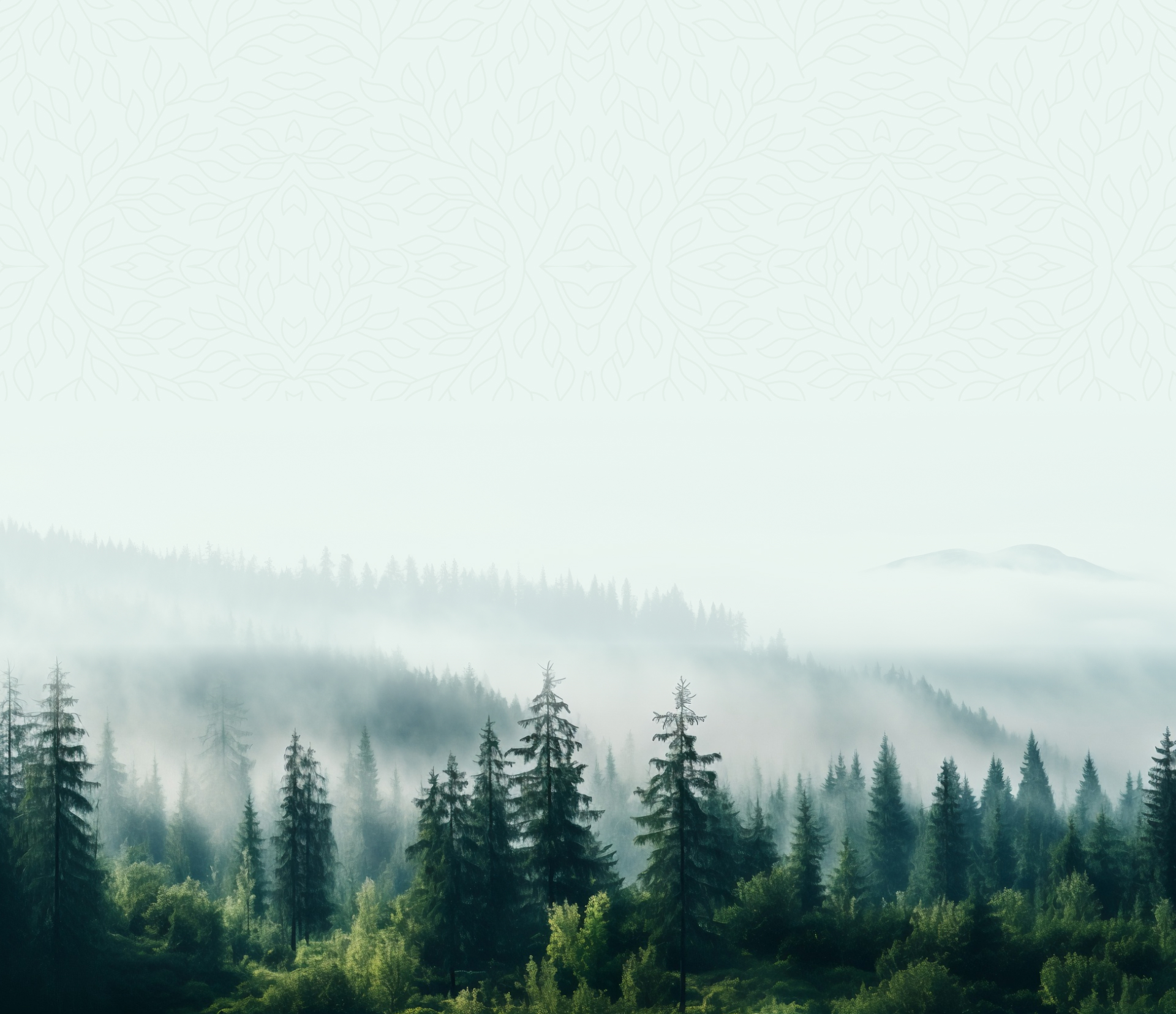 中碳森林資源（北京）有限公司是中碳控股（北京）股份有限公司的全資子公司。公司秉承“綠色生態(tài)”的可持續(xù)發(fā)展理念，專注于林業(yè)碳匯開(kāi)發(fā)、荒漠化防治、沙漠治理和生態(tài)修復(fù)，致力于通過(guò)技術(shù)創(chuàng)新和科學(xué)管理實(shí)現(xiàn)自然環(huán)境的恢復(fù)與提升。

公司與國(guó)內(nèi)外知名高校及科研機(jī)構(gòu)密切合作，形成了產(chǎn)學(xué)研一體化的發(fā)展模式，以促進(jìn)科學(xué)技術(shù)在生態(tài)治理中的應(yīng)用。公司主要業(yè)務(wù)涵蓋人工造林、林業(yè)碳匯開(kāi)發(fā)、林業(yè)管理、防沙治沙及相關(guān)技術(shù)的研發(fā)和推廣，致力于系統(tǒng)性地解決生態(tài)脆弱區(qū)域的環(huán)境問(wèn)題，推動(dòng)西北地區(qū)及其他生態(tài)敏感區(qū)域的植被恢復(fù)與生態(tài)改善。

在全球生態(tài)治理領(lǐng)域，中碳森林資源（北京）有限公司積極開(kāi)展海外合作，現(xiàn)有項(xiàng)目包括非洲毛里塔尼亞“綠色長(zhǎng)城”生態(tài)恢復(fù)、外蒙古和格魯吉亞的荒漠化治理、阿聯(lián)酋和沙特的沙漠修復(fù)、埃及的生態(tài)項(xiàng)目開(kāi)發(fā)，以及烏茲別克斯坦咸海區(qū)域的生態(tài)恢復(fù)項(xiàng)目。我們通過(guò)全球合作伙伴關(guān)系推進(jìn)生態(tài)保護(hù)與修復(fù)，致力于創(chuàng)造一個(gè)可持續(xù)發(fā)展的未來(lái)。

綠色生態(tài)，煥新未來(lái)