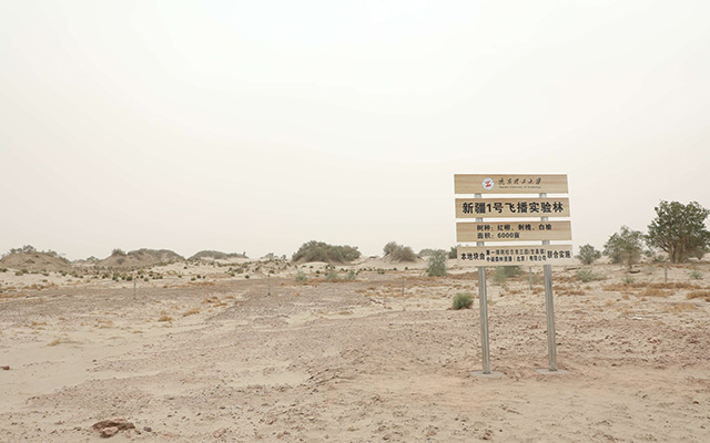 第一師阿拉爾市公益林飛播