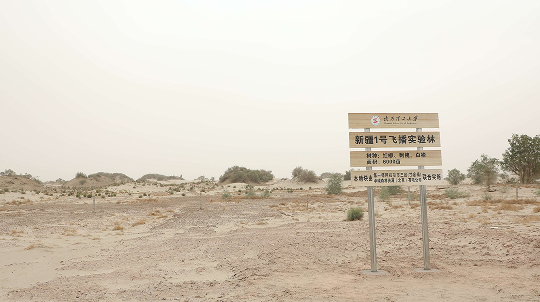 第一師阿拉爾市